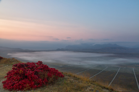 Bright red autumn smoked bush and beautiful view of the mountains of Karadag in sunrise, Crimeaの写真素材