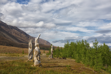 Wooden idols on the banks of the Sob River, Polar Urals, Yamal, Russiaの写真素材