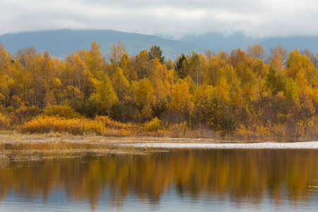 Autumn forest reflected in the lakeの写真素材