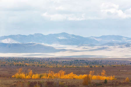 Autumn landscape with mountains and bright yellow larches in the foregroundの写真素材