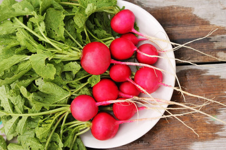 Fresh red radishes with tops lying in white plate