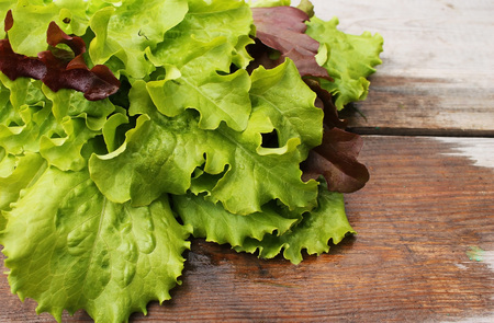 Still life of lettuce in the conventional wooden boardsの写真素材