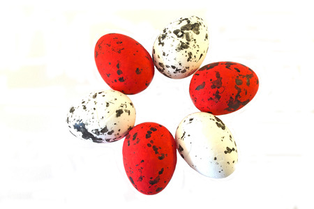 Easter eggs white and red colors laid out in the form of a flowerの写真素材