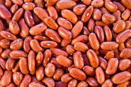Background of the red, selective, large haricot beans closeup