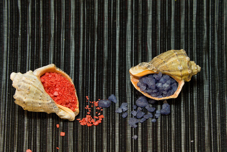 Sea salt for bath in pink and blue shells on a dark backgroundの写真素材