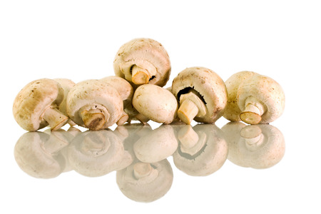 A handful of mushrooms and it's  reflection on a white isolated backgroundの写真素材
