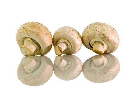 Three mushroom arranged in a row and it's reflection on a white isolated backgroundの写真素材