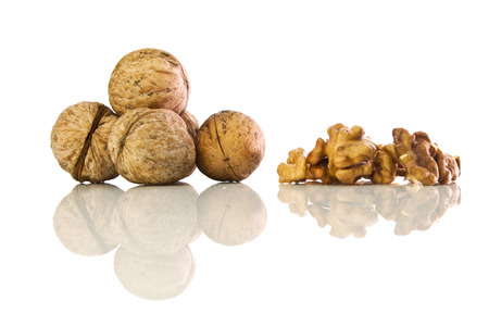 Walnut kernel on a background of nuts in shells  on  whiteの写真素材