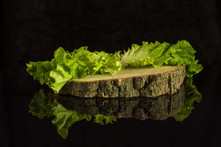 Lettuce leaves on a stump on a black isolated background with reflectionの写真素材
