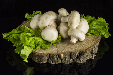 Mushrooms champignons and lettuce leaves stacked on a stump on a black background with reflectionの写真素材