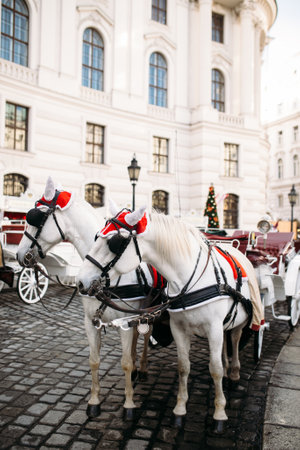 Horse carriage near the castle in Viennaの写真素材