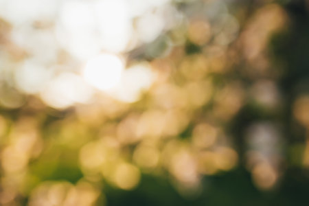 The lights of the sun, bokeh, blurred sunset lightsの写真素材