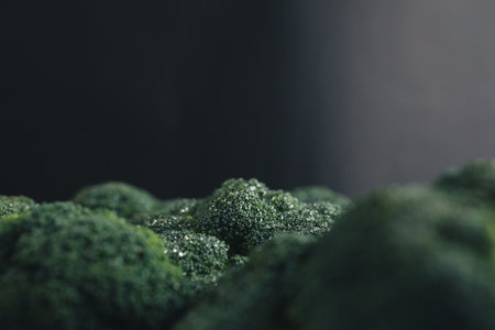 Fresh green broccoli, drops of water on broccoliの写真素材