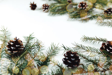 Christmas tree branches with cones in white backgroundの写真素材