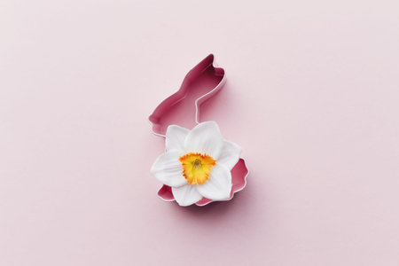 Spring Narcissus, bunny Easter form for baking. Pink background