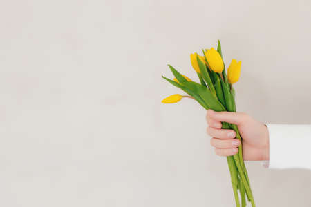 Hand holding bouquet with yellow tulip flowers on gray concrete background. Concept for greeting card for Easter, Mother's day, International women's day, Saint Valentine's day. High quality photoの写真素材