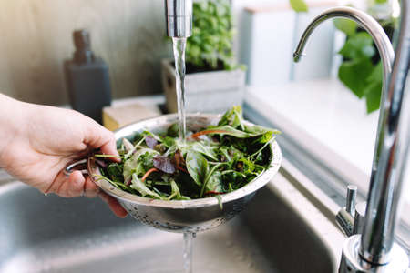 Woman washing green salad leaves for salad in kitchen in sink under running water. High quality photoの写真素材