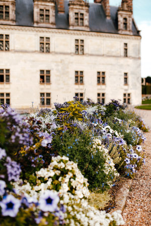 France - September 20 2016: Flowers near old French castle. High quality photoのeditorial素材