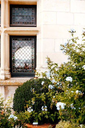Flowers and bushes near the window of the old castle. High quality photo