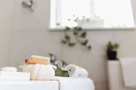Washbasin in white bathroom with bath accessories. Hotel cleaning concept. Household concept. Washcloth, soap, foot brush, towel and eucalyptus branch with green leaves. High quality photoの写真素材