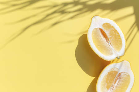 Two halved cuts of lemon with shadow from palm leaf on yellow backgroundの写真素材