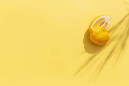 Two halved cuts of lemon with shadow from palm leaf on yellow background. Healthy eating, travel or vacation conceptの写真素材