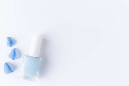 Flat lay with hortensia blue petals with blue nail polish in a transparent glass bottle on white background. Natural manicure and pedicure conceptの写真素材