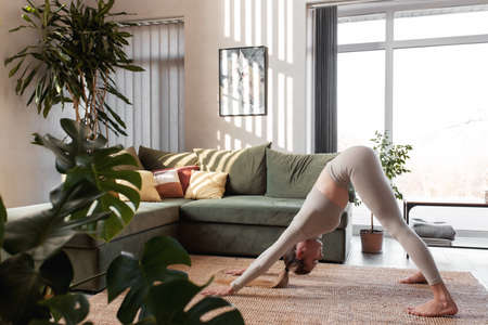 Healthy lifestyle concept with girl doing yoga exercises at home with green loft interiorの写真素材