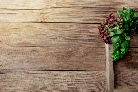 Gardening and healthy eating concept with different herbs and salad leaves on wooden background in wooden containerの写真素材