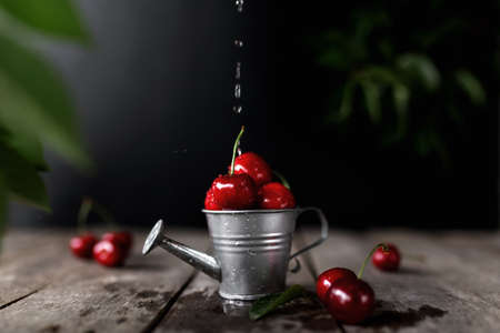 Wet sweet cherry berries in small watering can on wooden background table with flowing water stream and drops. Freshness, summer concept. Eco, bio farm fruits harvesting with copy space area. Low keyの写真素材