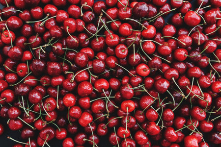 Flat lay background with heap of fresh red sweet cherry. Eco farm food cultivation. Healthy eating...