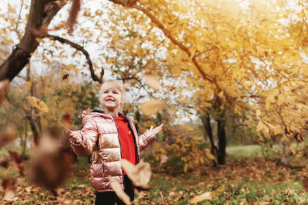 Little blonde girl plays with yellow autumn leaves in the garden, smile, has funの写真素材