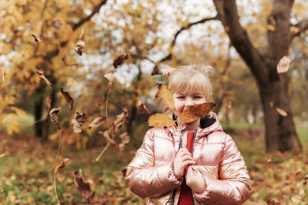 Little blonde girl plays with yellow autumn leaves in the garden, smile, has funの写真素材