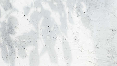 Flat lay with top view on shadow from leaves, leaf and tree branches on gray or white gray old concrete background. Copy space area for text for advertisement. High quality wallpaper photoの写真素材