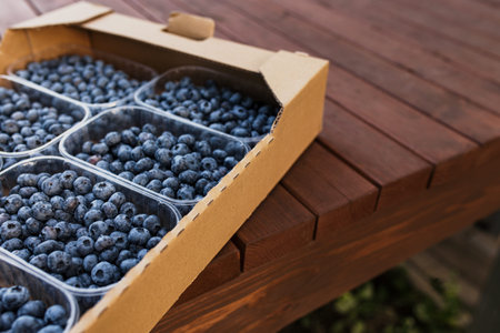 Box, crate or container with collected fresh blueberries. Berries agriculture business. Farmer...