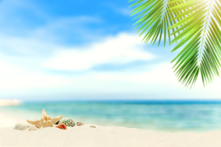 Empty blank sand with different shells with blur beach, palm leaves on background. Mockup, template for product, content placement, presentation or showcase. Tropical theme, travel, vacation conceptの写真素材