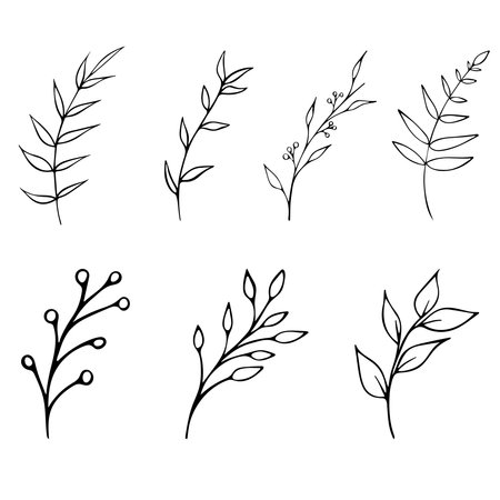 Vector black and white graphic illustration of branches on a white background.のイラスト素材