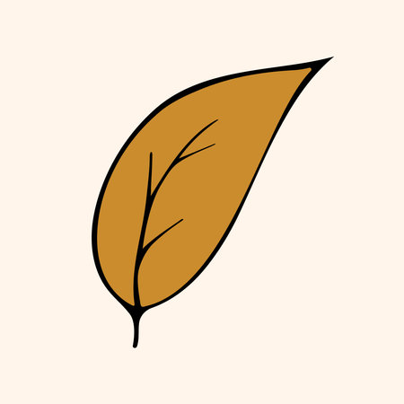 Graphic vector illustration of a brown leaf on a beige background.のイラスト素材