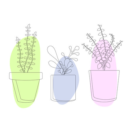 Set of potted houseplants. Linear art.のイラスト素材