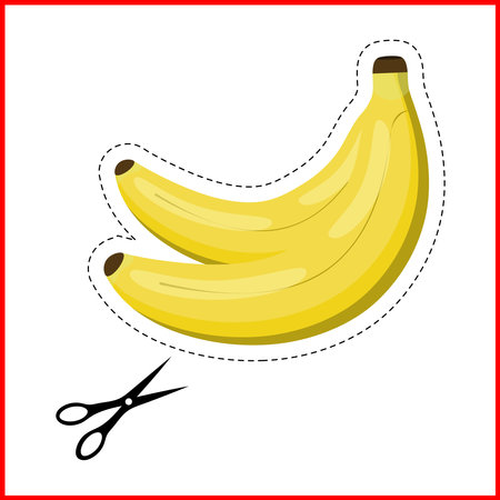 Vector illustration of a children's educational card with fruits. Paper cutting training for children.のイラスト素材