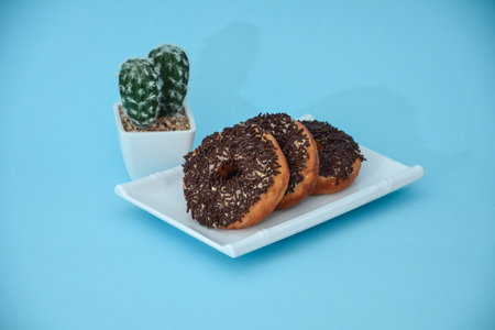 Donut cake with brown grain, there are cactus tree accessories set in light blueの写真素材