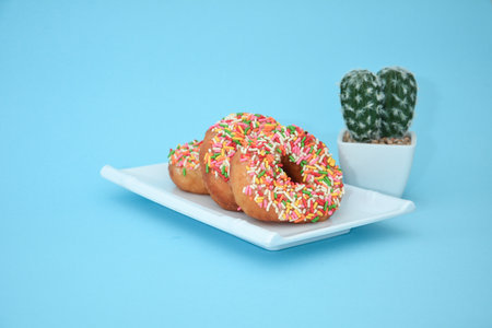Donut cake with brown grain, there are cactus tree accessories set in light blueの写真素材