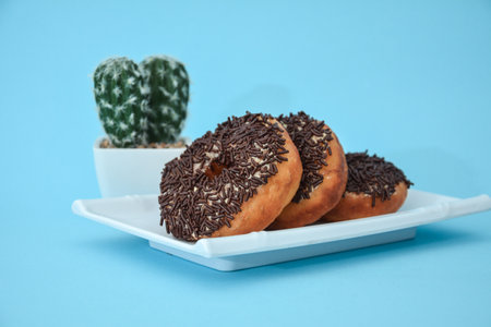 Donut cake with brown grain, there are cactus tree accessories set in light blueの写真素材
