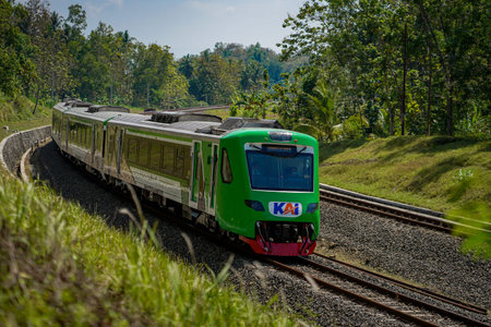 A commercial train that runs on a 2-way line with left and right views of dense forest during the...