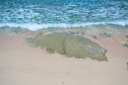 The view of coral on the beach of Srau, Pacitan, Indonesia, beautifies the beach with its white sand