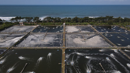 aerial view, shrimp ponds adjacent to the south coast of Yogyakarta. To become the largest shrimp...