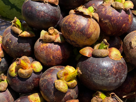 Closeup of a pile of fresh ripe mangosteen fruit, mangosteen is a fruit with white flesh, sweet and...