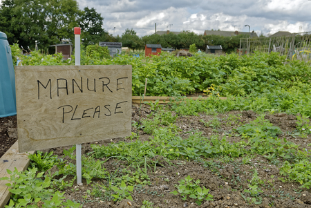 Allotment Garden where land is made available for personal cultivation of fruit and vegetables.の写真素材