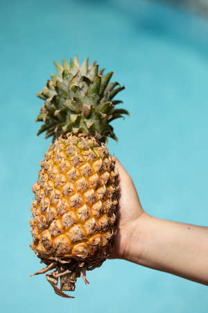 Fresh Pineappleの写真素材