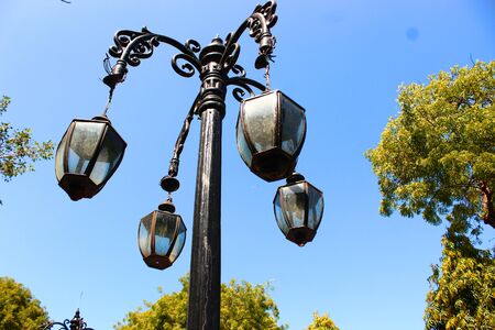 A black lamp looking like a banana tree in the streetの写真素材